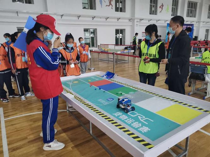 龙江县货运运输,设计策略快速解答_VR型43.237