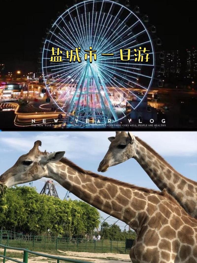离开菊花哥 第189页
