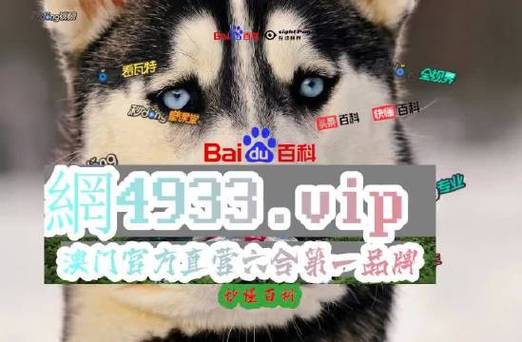 新澳门最新开奖记录大全查询网站,设计策略快速解答_VR型43.237