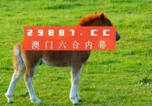 澳门近80期开奖记录,设计策略快速解答_VR型43.237
