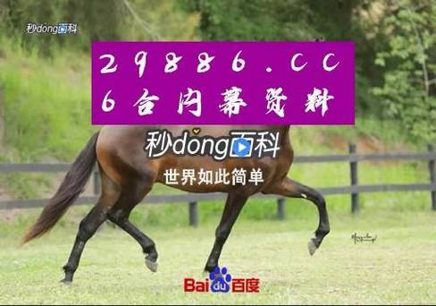 2024年11月26日 第4页
