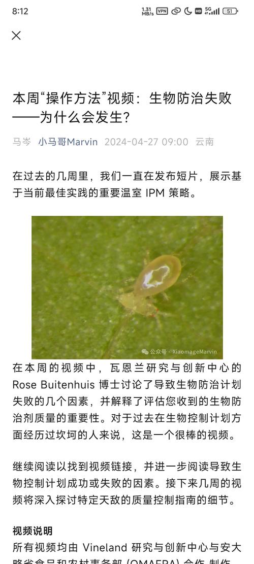 佩小姐的奇幻城堡,绝对策略计划研究_社交版40.12.0