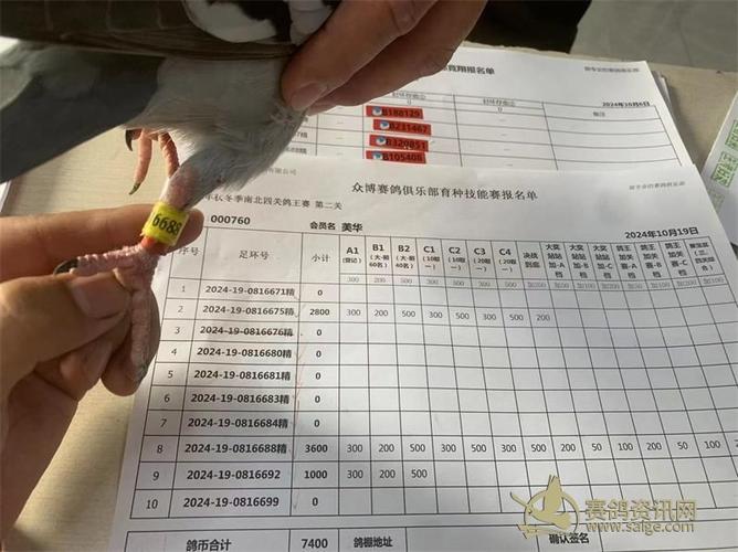 2024年新澳门资料查结果,真实经典策略设计_VR型43.237