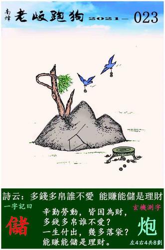 澳门正版资料免费大全2021年澳,设计策略快速解答_整版DKJ656.74