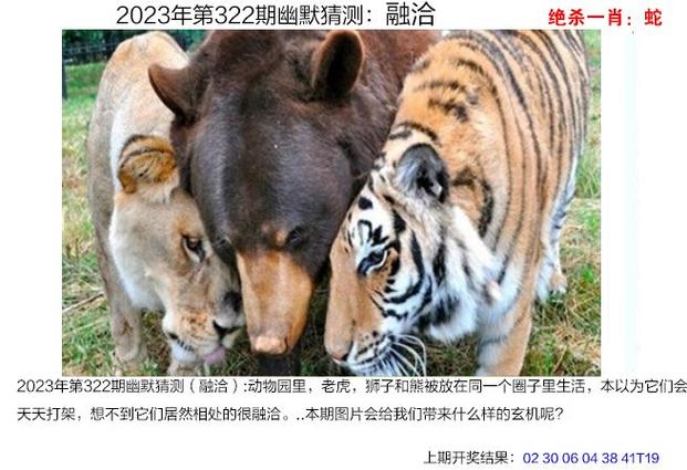 澳门6合开彩2023年今晚开奖结果是什么,设计策略快速解答_整版DKJ656.74