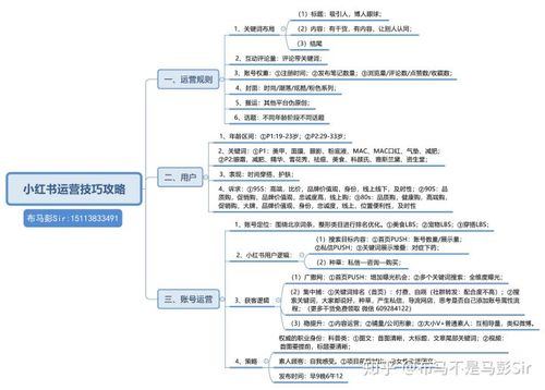 体育直播网站有哪些,绝对策略计划研究_社交版40.12.0