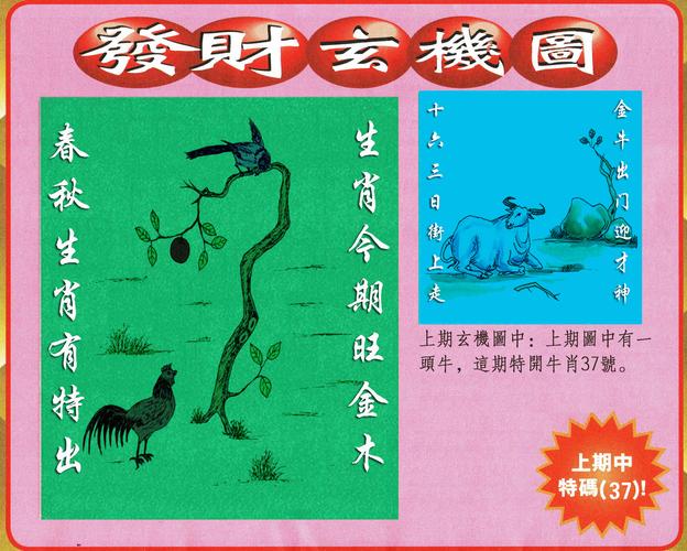怎么看澳门码资料,设计策略快速解答_整版DKJ656.74