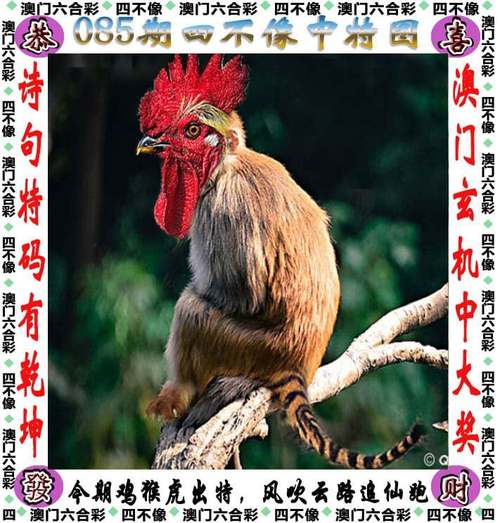 2024澳门精准正版资料大全63图片,绝对策略计划研究_社交版40.12.0
