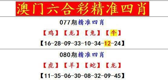 2024年12月19日 第5页