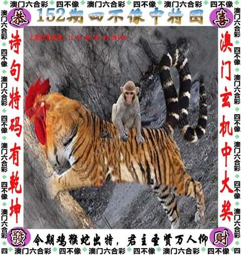 2024年12月20日 第5页