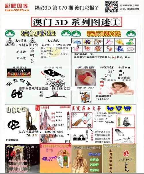 幸运彩图香港资料,设计策略快速解答_VR型43.237