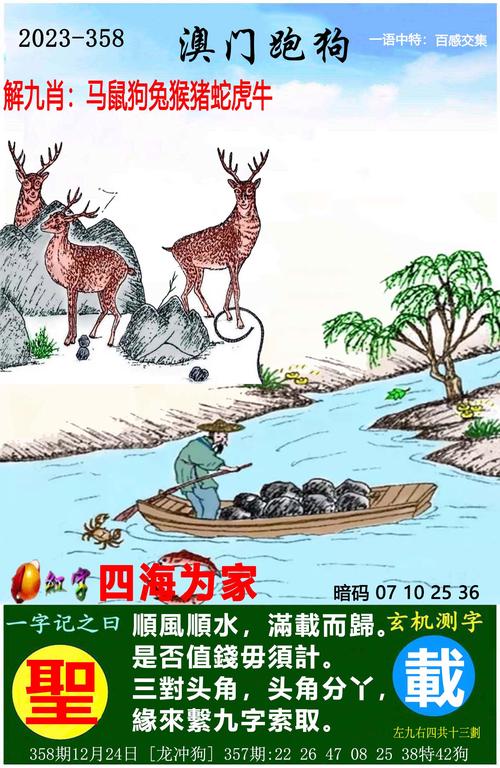 2024年12月21日 第5页