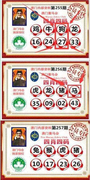 澳门六合合彩开奘资料,设计策略快速解答_整版DKJ656.74