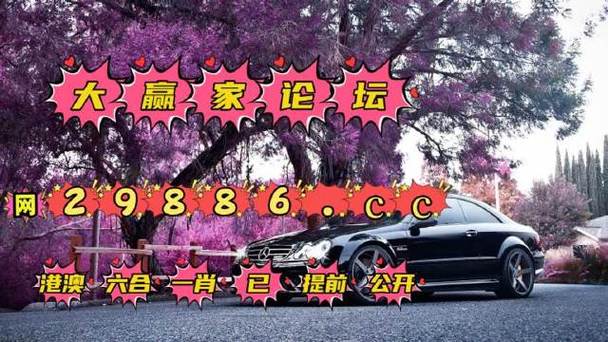 2023澳门精准一肖,设计策略快速解答_整版DKJ656.74