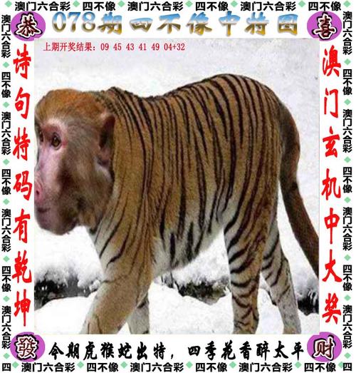 王中王澳门最准的资料,设计策略快速解答_VR型43.237