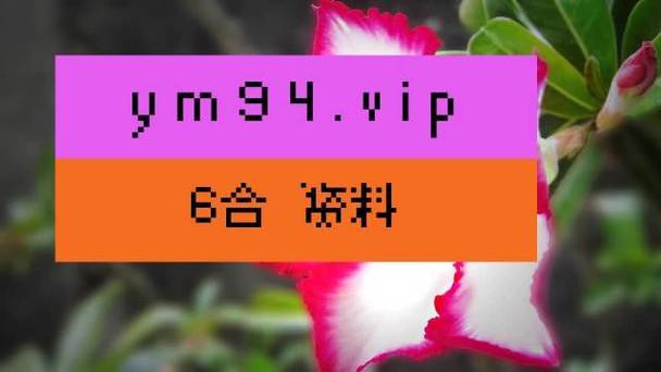 澳门天天免费资料大全软件特色,设计策略快速解答_VR型43.237