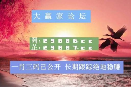 新澳门六开奖结果资料查询网站,真实经典策略设计_VR型43.237