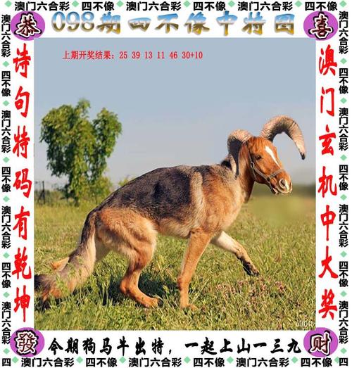 澳门123资料精准,设计策略快速解答_VR型43.237