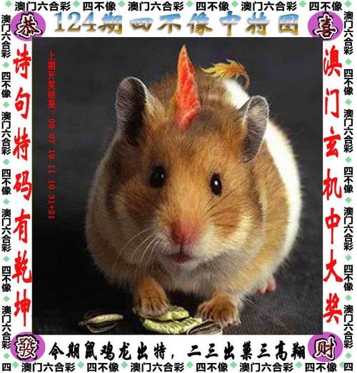 澳门王中王资料免费公开,设计策略快速解答_整版DKJ656.74