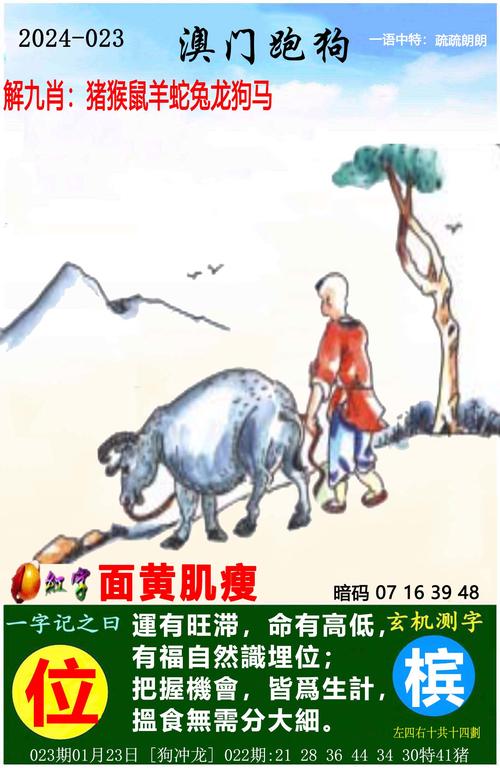 澳门正版精准免费挂牌,设计策略快速解答_VR型43.237