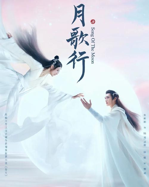 电视剧在线观看免费版全集高清,绝对策略计划研究_社交版40.12.0