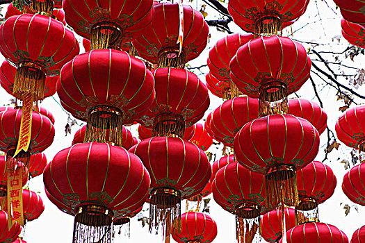 香港正宗挂牌红灯笼,设计策略快速解答_VR型43.237