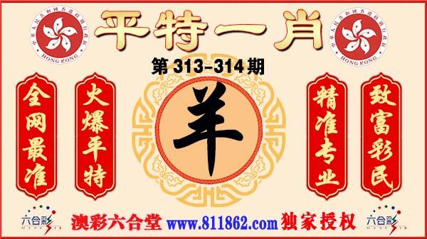 六合至尊新澳彩,真实经典策略设计_VR型43.237