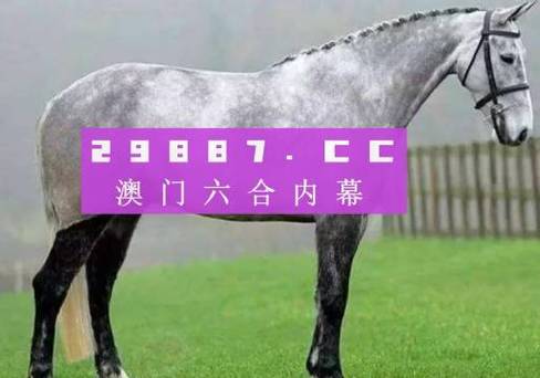 2025年1月19日 第13页