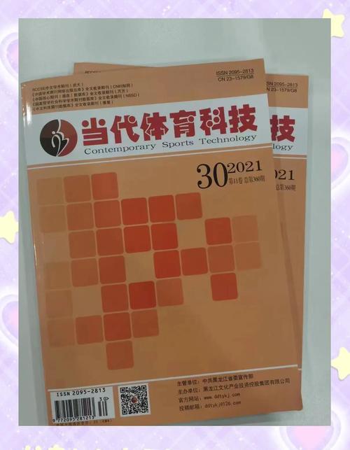 核心期刊体育类,设计策略快速解答_VR型43.237