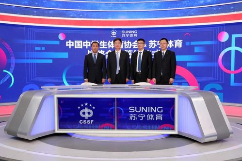 中国学校体育属于什么期刊,设计策略快速解答_VR型43.237