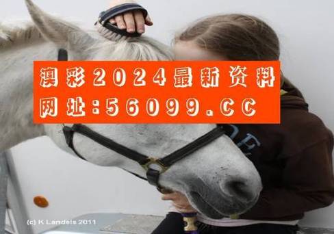 请问今天晚上香港特马开什么,真实经典策略设计_VR型43.237