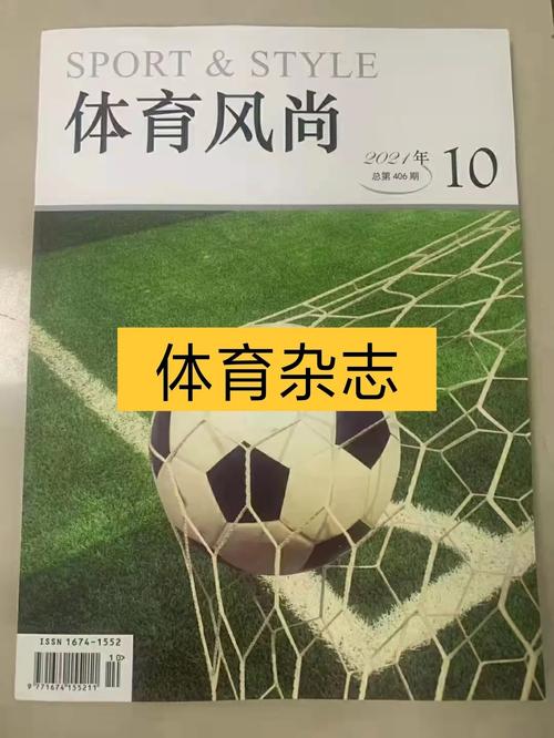 体育教育类期刊,设计策略快速解答_VR型43.237