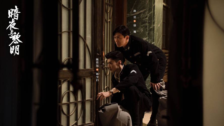 黑暗与黎明电视连续剧免费观看,真实经典策略设计_VR型43.237