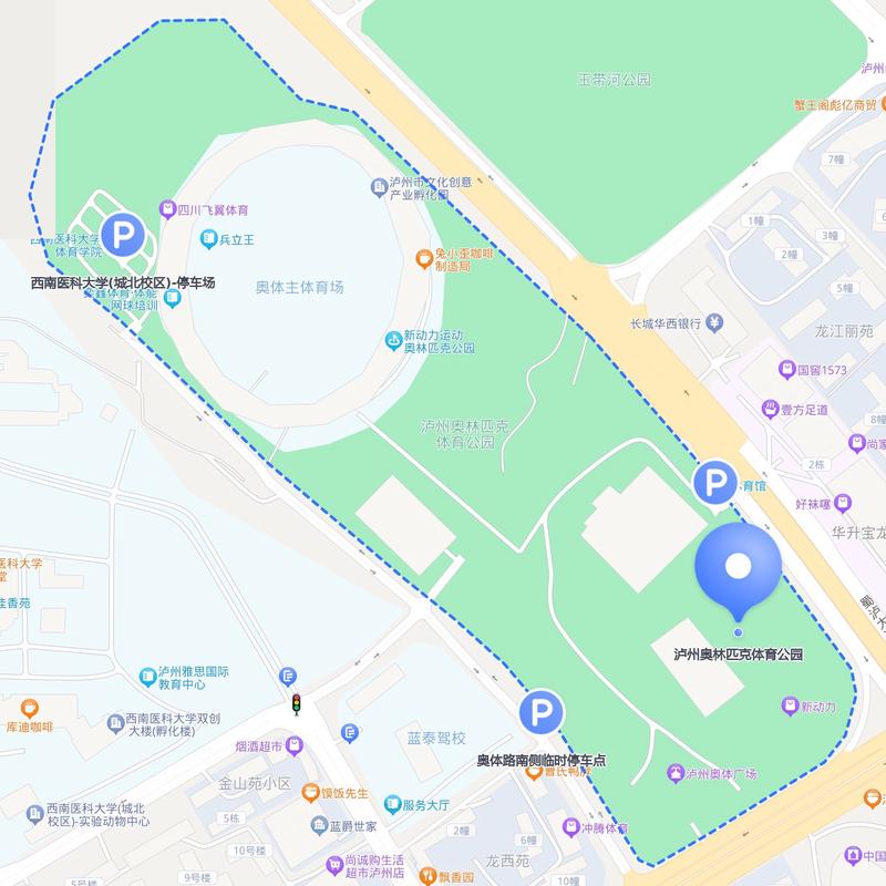 奥林匹克体育中心体育场,设计策略快速解答_VR型43.237