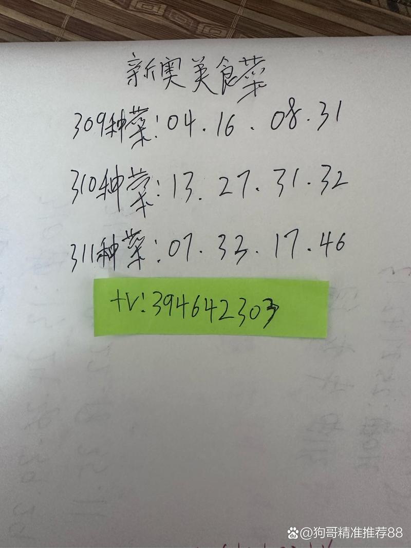 2023新奥开码全部记录,绝对策略计划研究_社交版40.12.0