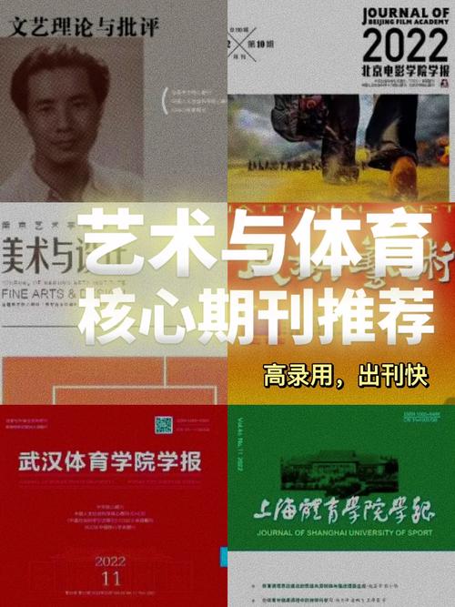 体育类中文核心期刊,设计策略快速解答_整版DKJ656.74