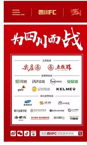体育赛事赞助,设计策略快速解答_整版DKJ656.74