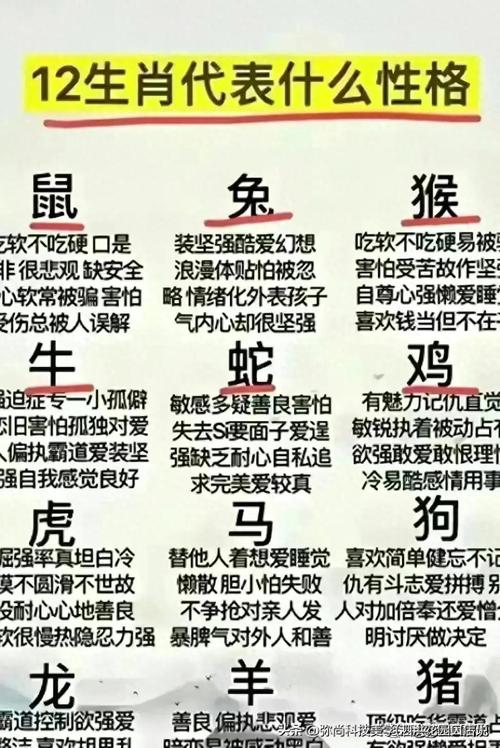 12生肖杀号码法,设计策略快速解答_整版DKJ656.74