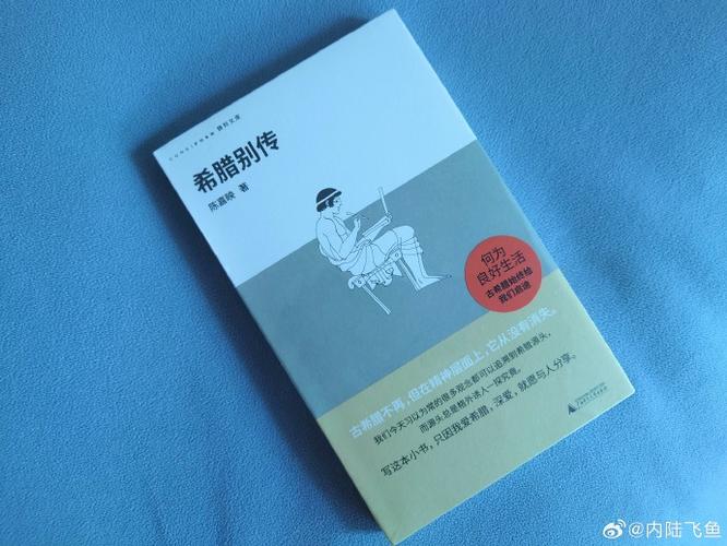纽约客的故事免费观看,设计策略快速解答_VR型43.237
