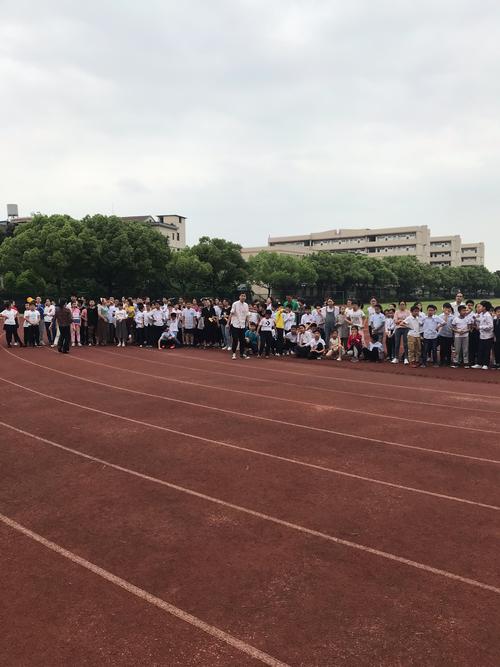 关于体育的比赛