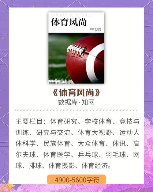 中文体育类期刊,设计策略快速解答_VR型43.237
