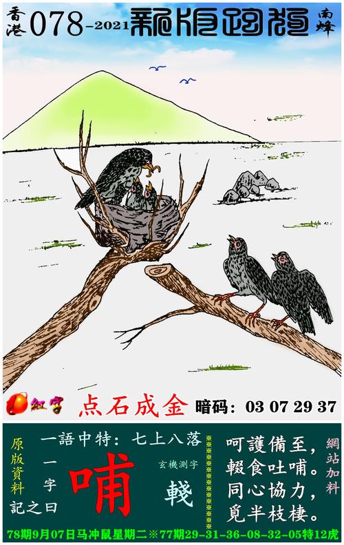 香港六合图库,设计策略快速解答_VR型43.237