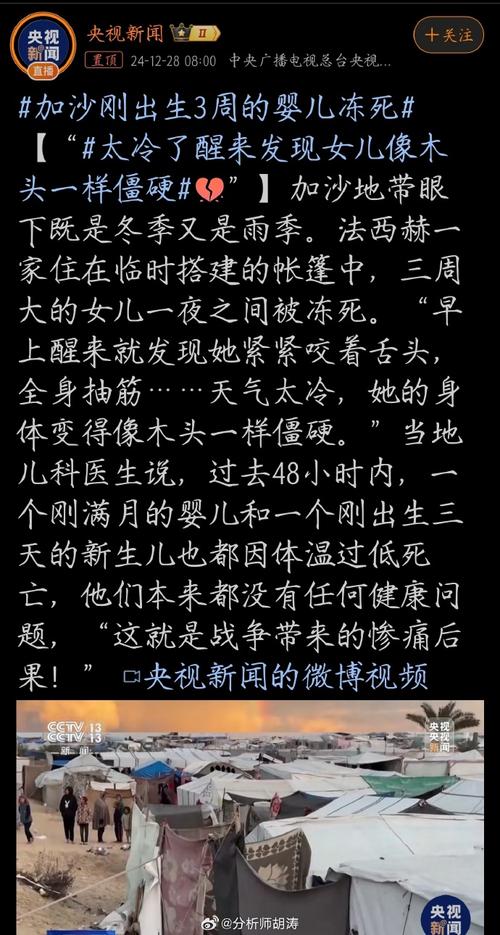 加沙一男婴出生前妈妈遇难,绝对策略计划研究_社交版40.12.0