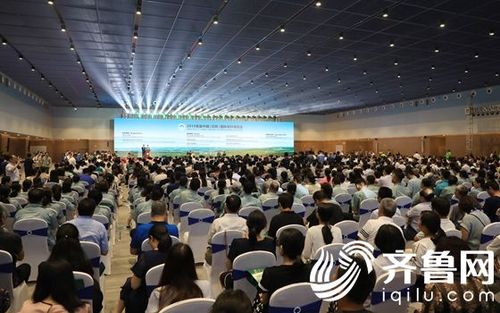 2019体育赛事,设计策略快速解答_整版DKJ656.74