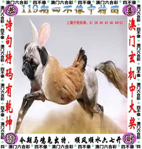 澳门特马是什么,设计策略快速解答_整版DKJ656.74