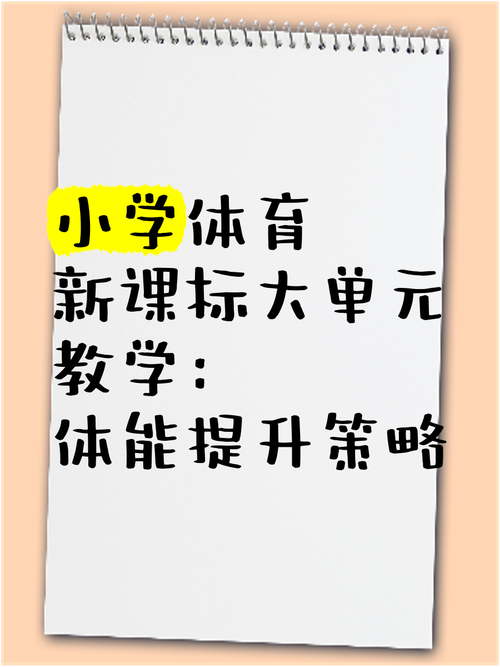 体育课标解读,真实经典策略设计_VR型43.237