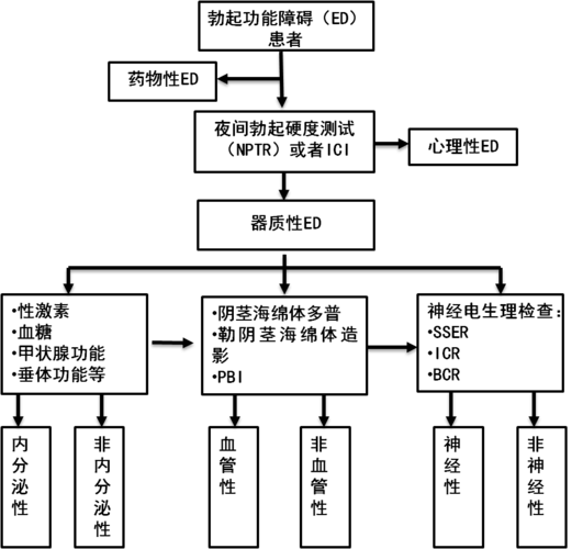 我的性功能障碍史,真实经典策略设计_VR型43.237