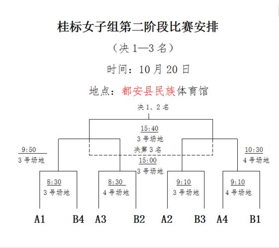 今晚有什么体育比赛,设计策略快速解答_整版DKJ656.74