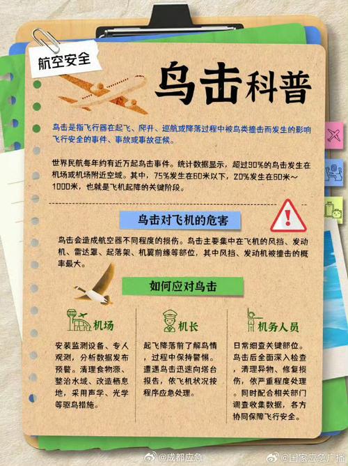 鸟！鸟！鸟！,设计策略快速解答_整版DKJ656.74