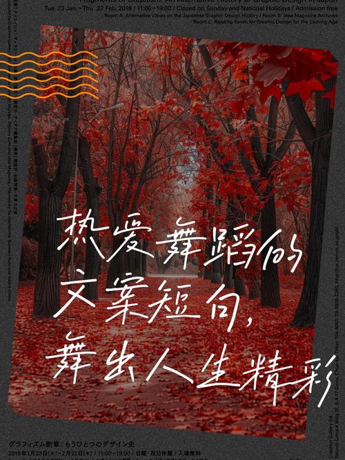 舞出我人生5片段,设计策略快速解答_VR型43.237